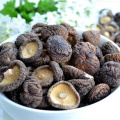 Best Dried Champignon For Health