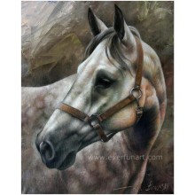 Wall Art Home Decor Horse Oil Painting on Canvas From China for Wholesale (EAN-234)