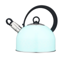 2.0L modern tea kettle