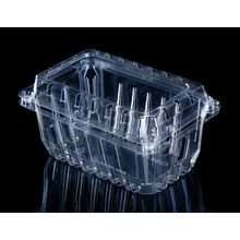 Disposable Food Storage Box