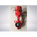 Red Color Butterfly Valve for Fire Protection