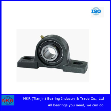 Fornecedor da China Melhor Preço Pillow Block Bearing