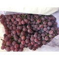 Fresh Red Grape in Yunnan