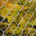 Outdoor Removable Vinyl Coated Chain Link Fence