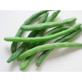 Frozen Green Beans with Competitive Price