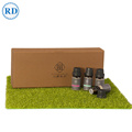 Bio ätherisches Öl Set 10ml therapeutisch für Diffusor