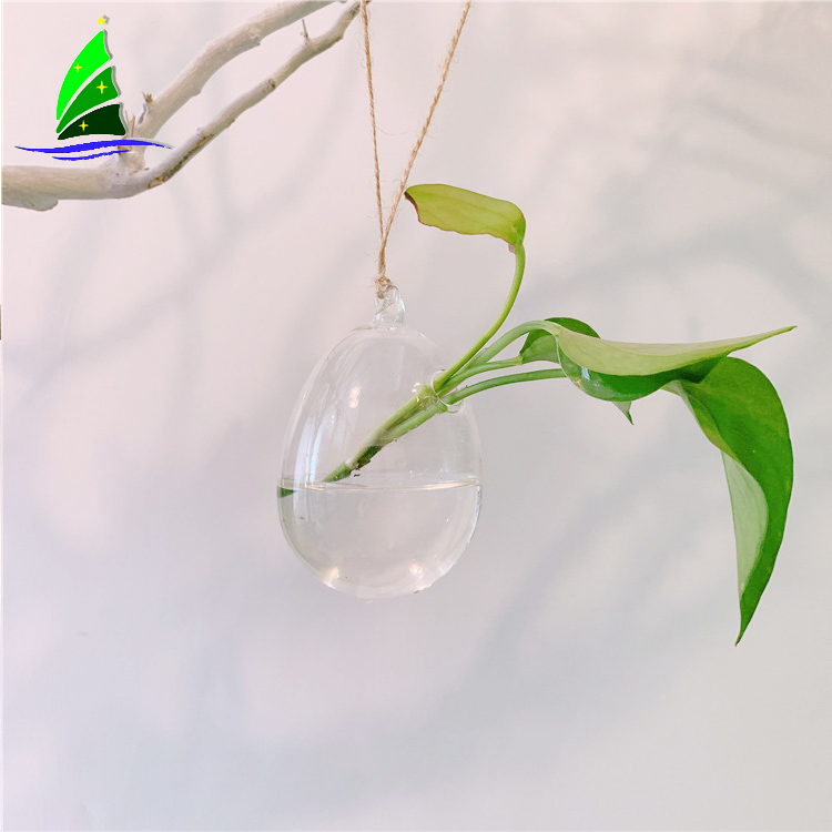 Artdragon-hanging-egg-shape-glass-terrarium-3home