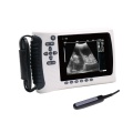 Ultrasound scanner for small animals