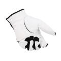 Guantes de golf utilizados por hombres y mujeres.