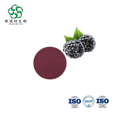 Anthocyanin Blackberry Fruit Powder