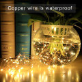 Waterproof Warm White Mini Fairy LED Copper Lights