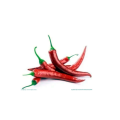 Pure capsaicine poudre de capsaïcine Extrait bon prix