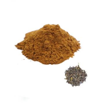 BLACK TEA EXTRACT TEA POLYPHENOLS