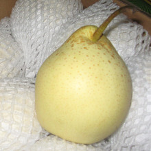 Fresh Ya Pear, pêra fresca, pêra doce