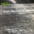 Reinforced UV Protection Transparent Farm Greenhouse Film