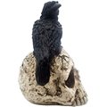 Raven On Skull Halloween Home Decor