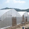 Tunnel Tropical Plastic Film Production Greenhouse