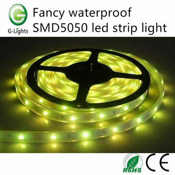 Fancy wasserdicht SMD5050 geführtes Streifenlicht