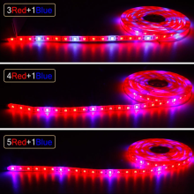 Полный спектр светодиодный Light Light 5050 12 В