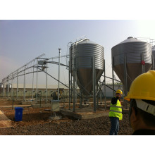 Equipo para aves de corral para la cría de pollos