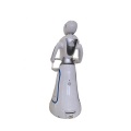 Dish Delivery Robot Humanoid Robot Waiter