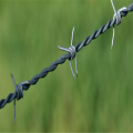 Factory price galvanized barbed wire weight per meter