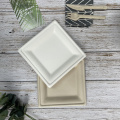 Disposable AND ompostable white/natural 8inch Tray for Fruit