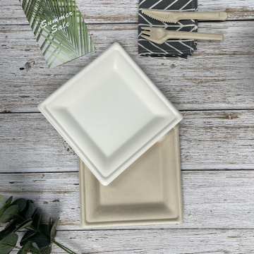 Disposable AND ompostable white/natural 8inch Tray for Fruit