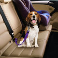 car seat belt for dogs