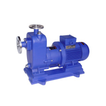 Self-Priming Magnetic Electric Water Pump