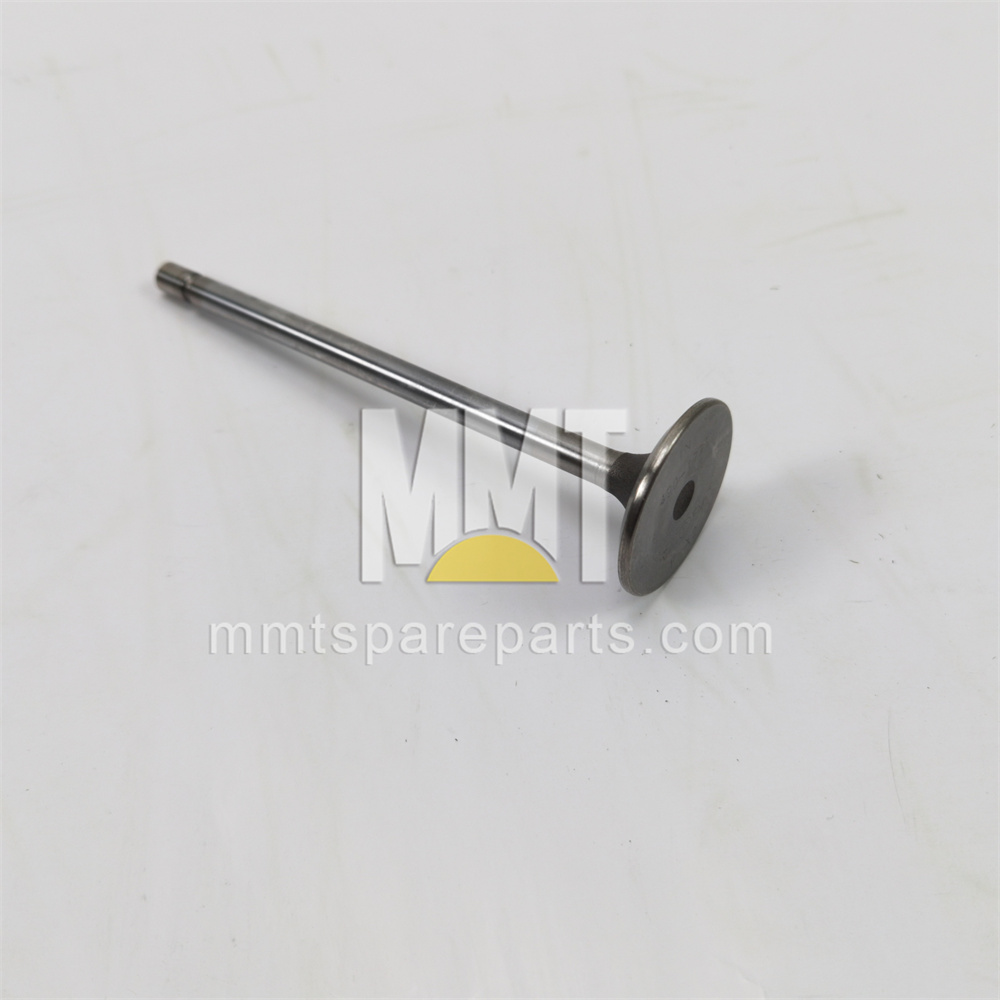 Exhaust Valve 490-1728 Exhaust Valve 490-1728