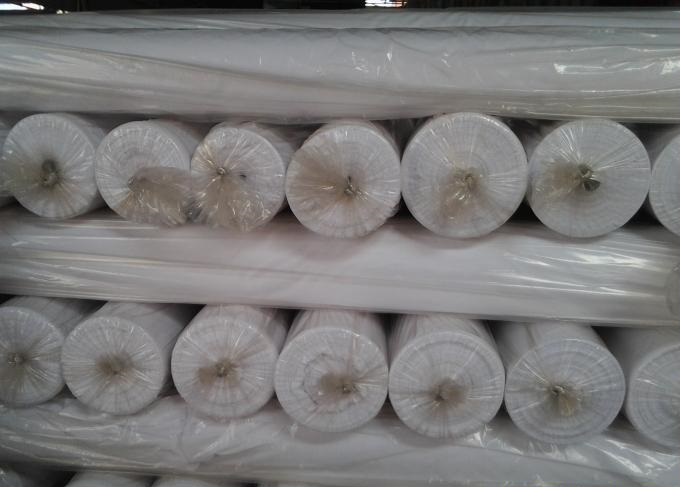 Polyester Greige Fabric