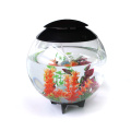 Mini tabla personalizada Acrílico Acuario Pescado