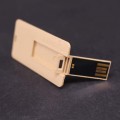 Card USB flash disk/pen disk/memory stick