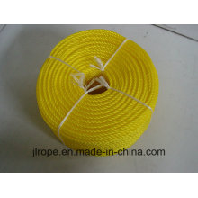 PP Rope/Braided Rope (Apporved By LR Certificate)