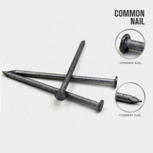 New Design Bright Common Nails avec un bon prix