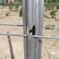 Vineyard Metal Trellis Post en gros de l&#39;acier galvanisé