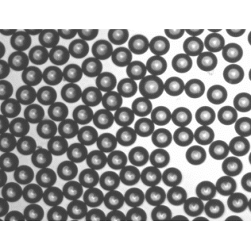 Resins for Solid Phase Synthesis SPCR140