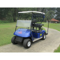 Cheap golf buggy vehicle for sale