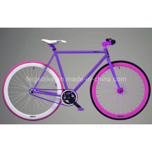 Beautiful Back Pedal Bike Fixed Gear Bicycle (FP-FGB001)