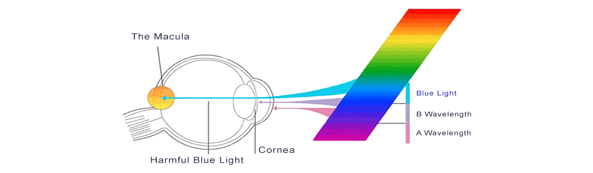 Anti Blue GOB LED Display Explanation Anti Blue GOB LED Display Explanation