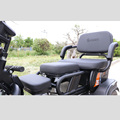 3 wheel recreational electric tricycle for passenger