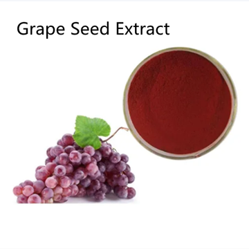 Grape Seed Extract Powder CAS 84929-27-1 Factory Supply