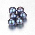 Snh Dye Grey Color Nice Freshwater Round Half Drilled Pearl Beads