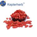 Goji-Pflanzenextrakt 10,0% ~ 40,0% Polysaccharid Goji Berry-Extrakt-Pulver