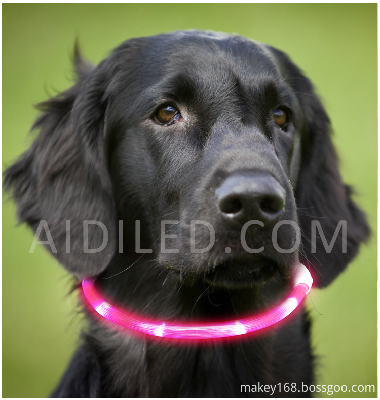 Waterproof Glow Dog Collar