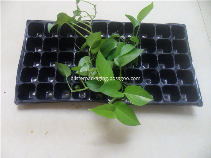 Plastic Seedling Trays