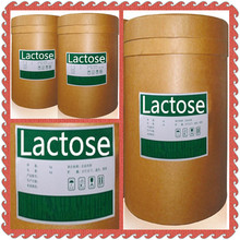 Lactose C12H22O11·H2O CAS 5989-81-1