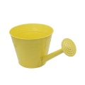 Detachable sprinkler look galvanized metal pot