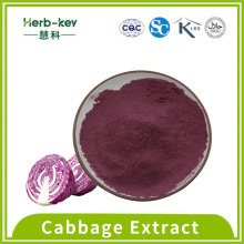 10:1 Solid drink Purple Cabbage powder